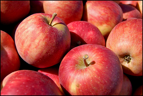 Apfel