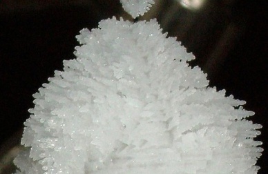 Gesundheitsnutzen von Magnesium