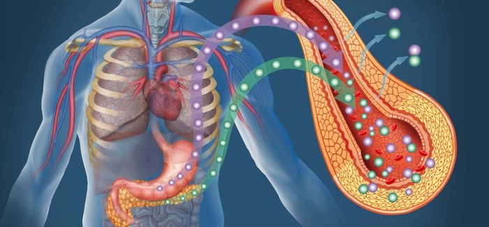 Wie man Diabetes erkennt und heilt Wie man Diabetes erkennt und heilt