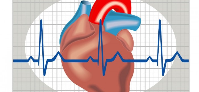 Weist du, wie du Herzrasen erkennen und vorbeugen kannst?