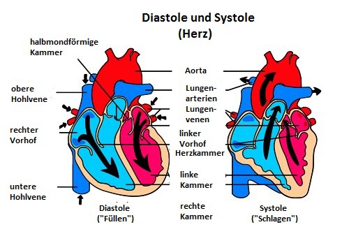 Was sind Herzgeräusche?