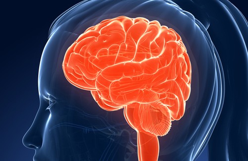 Schlecht für Gedächtnis und Intelligenz Schlecht für Gedächtnis und Intelligenz