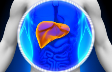 Was die Gesundheit der Leber schützt und was ihr schadet