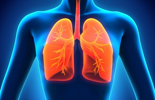 Wie su die natürliche Lungenreinigung unterstützen kannst
