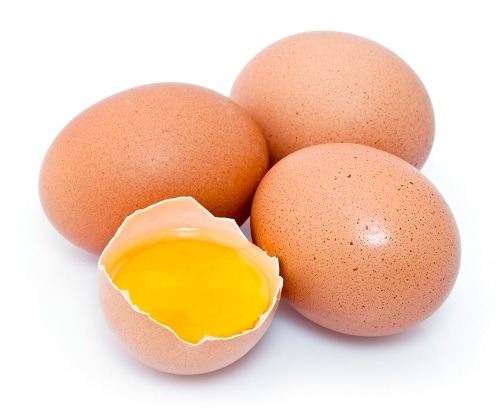 Eier