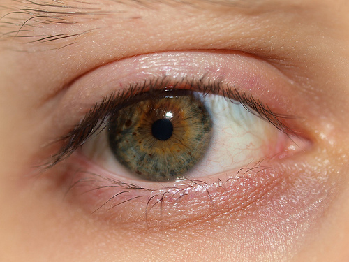 Augen