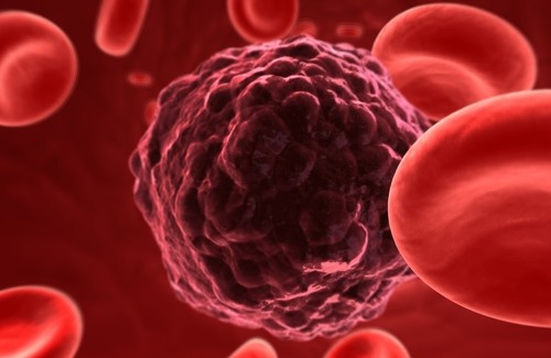 Krebs – zukünftige Therapiemöglichkeit? Krebs – zukünftige Therapiemöglichkeit?