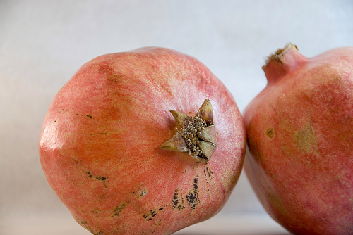 Granatapfel