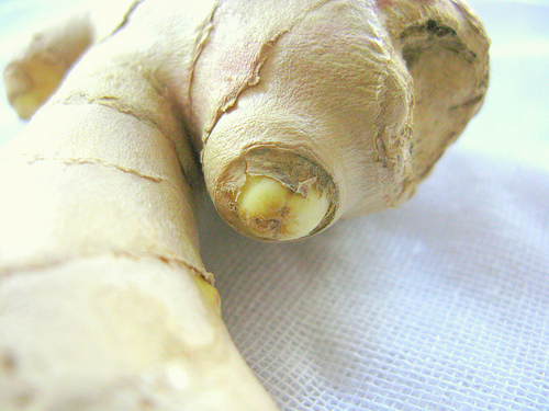 (Foto: Organicus Blog / Flickr.com)