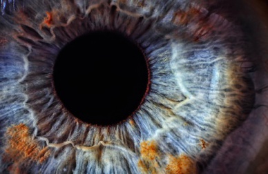 Augendiagnose - Was erzählen unsere Augen?