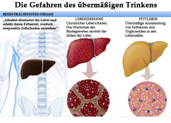 Die Wirkung von Alkohol auf den Organismus