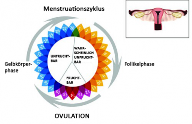 Unregelmäßige Menstruation - Warum?