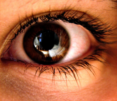 Pupille und braune Iris