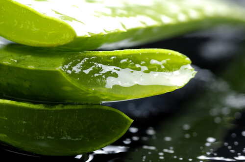 Aloe-vera