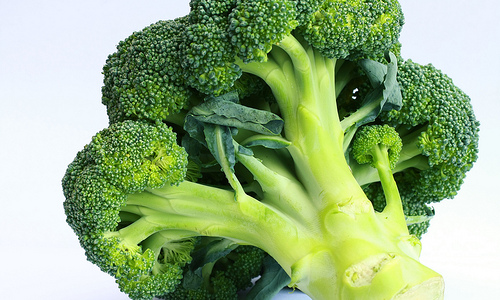 Brokkoli ist nicht nur gesund sonder auch gut gegen Bauchfett