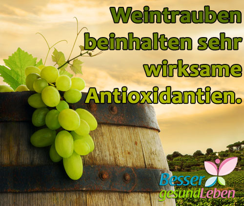 Weintrauben auf einem Weinfass