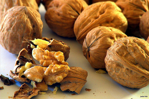 Nüsse halten unser Gehirn fit