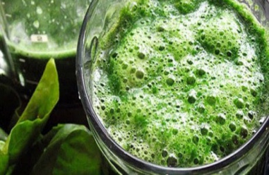 Spirulina -  Kennst du die Vorzüge dieser Alge?