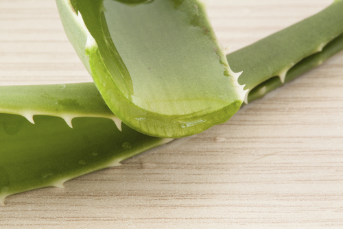 Aloe-vera