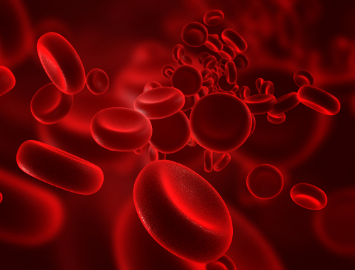 Blut