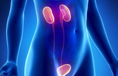 Ungenügende Nierentätigkeit: 10 Symptome