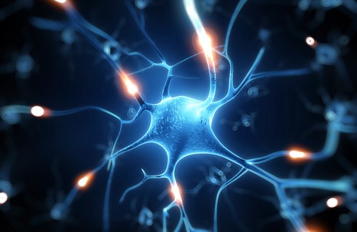 Resveratrol – ein Wundermittel? Resveratrol – ein Wundermittel?