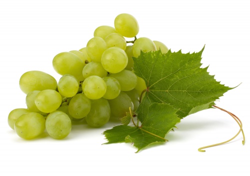 Vorteile von weißen Trauben und warum der tägliche Genuss von Trauben so gesund ist