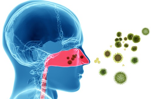 Natürliche Heilmittel gegen allergische Rhinitis Natürliche Heilmittel gegen allergische Rhinitis