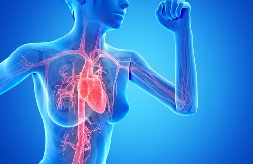 Zweimal wöchentlich laufen – Gesundheitsvorteile Zweimal wöchentlich laufen – Gesundheitsvorteile