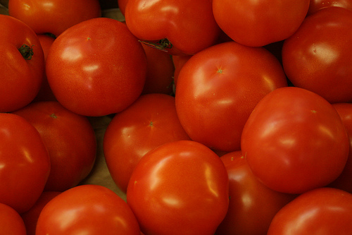Viele rote Tomaten