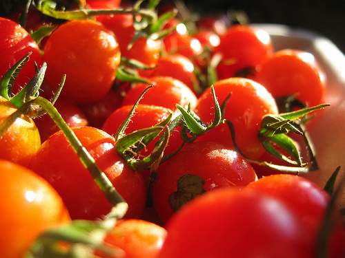 Tomate