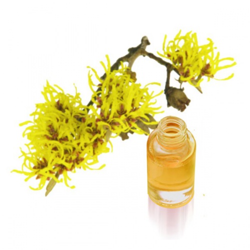 Hamamelis kann bei geröteten Augen helfen