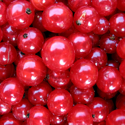moosbeeren