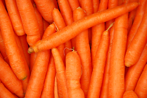 Karotten gegen Osteoporose