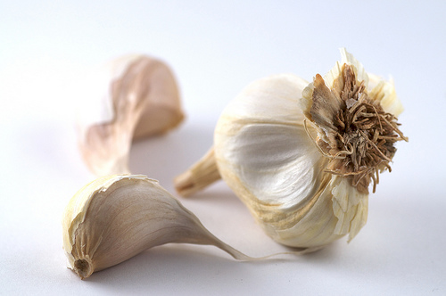 Knoblauch ganz