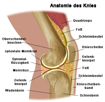 Heilmittel für Knieschmerzen und wie sie entstehen