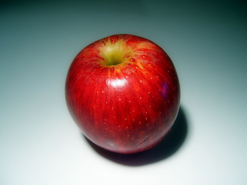 arterien