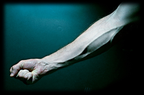 arterien