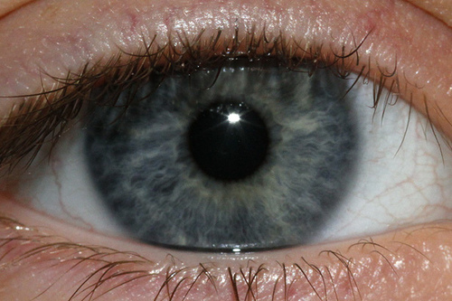 blaue-augen