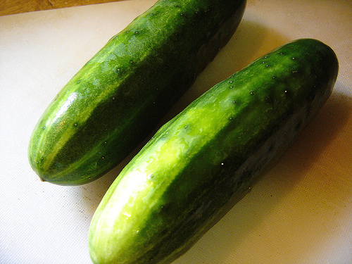 gurke4