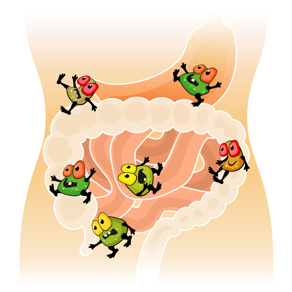 Beeinflusst die Darmflora unser Essverhalten und unsere Psyche? Beeinflusst die Darmflora unser Essverhalten und unsere Psyche?