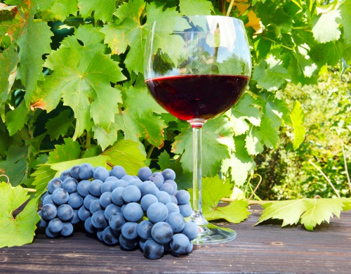 Wein