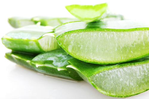 Aloe-vera