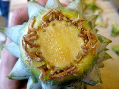 Ananas