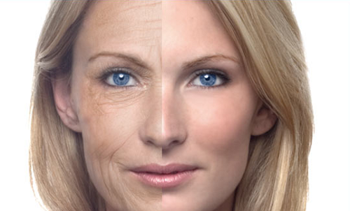 Die 10 besten Anti-Aging-Lebensmittel Die 10 besten Anti-Aging-Lebensmittel