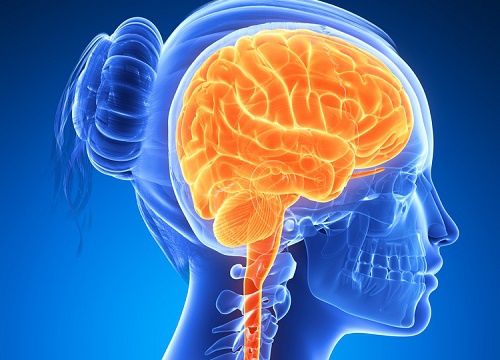 6 Nahrungsmittel Fur Ein Starkes Gehirn Besser Gesund Leben