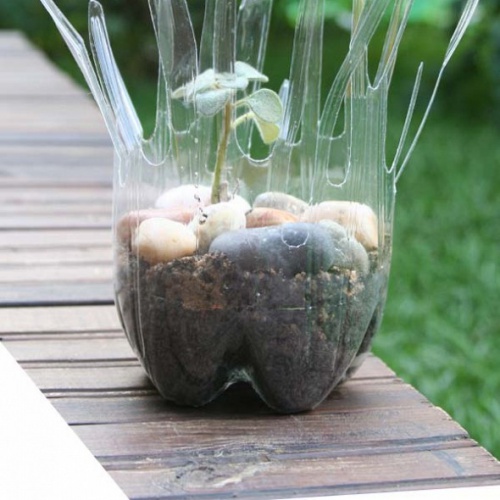 Plastikflasche