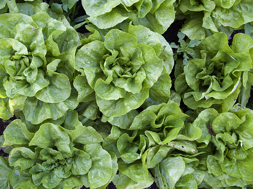 salat