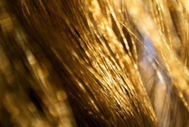 Natürlich trockene Haare bekämpfen