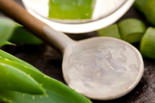 Aloe Vera ist sehr vielseitig anwendbar
